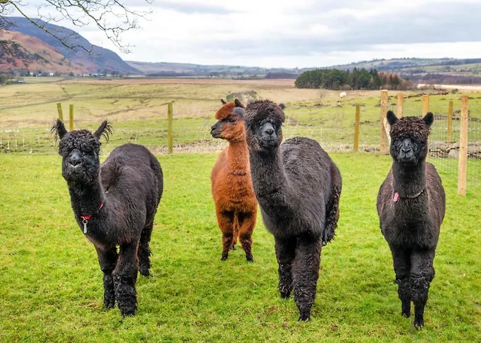 Sharp Edge Lejlighed *