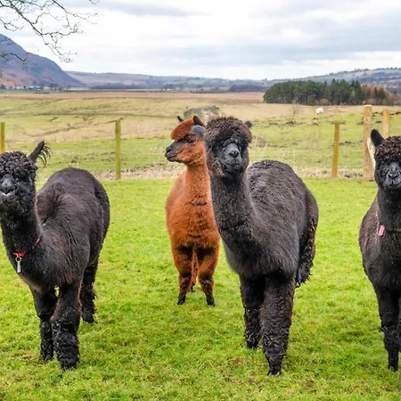 Sharp Edge Apartament *