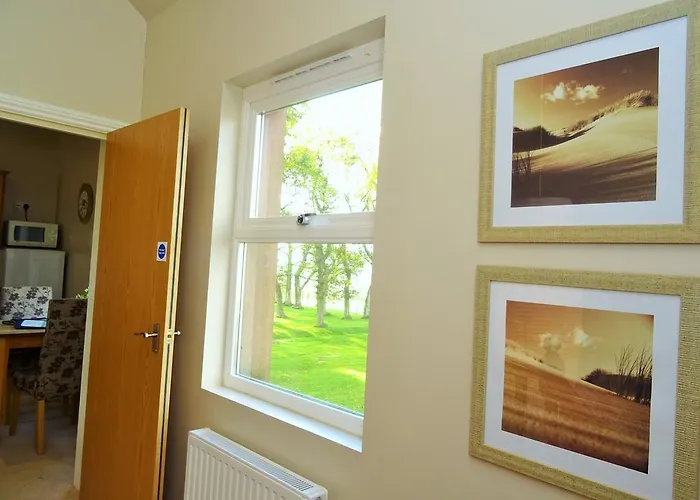 Sharp Edge Пенрит